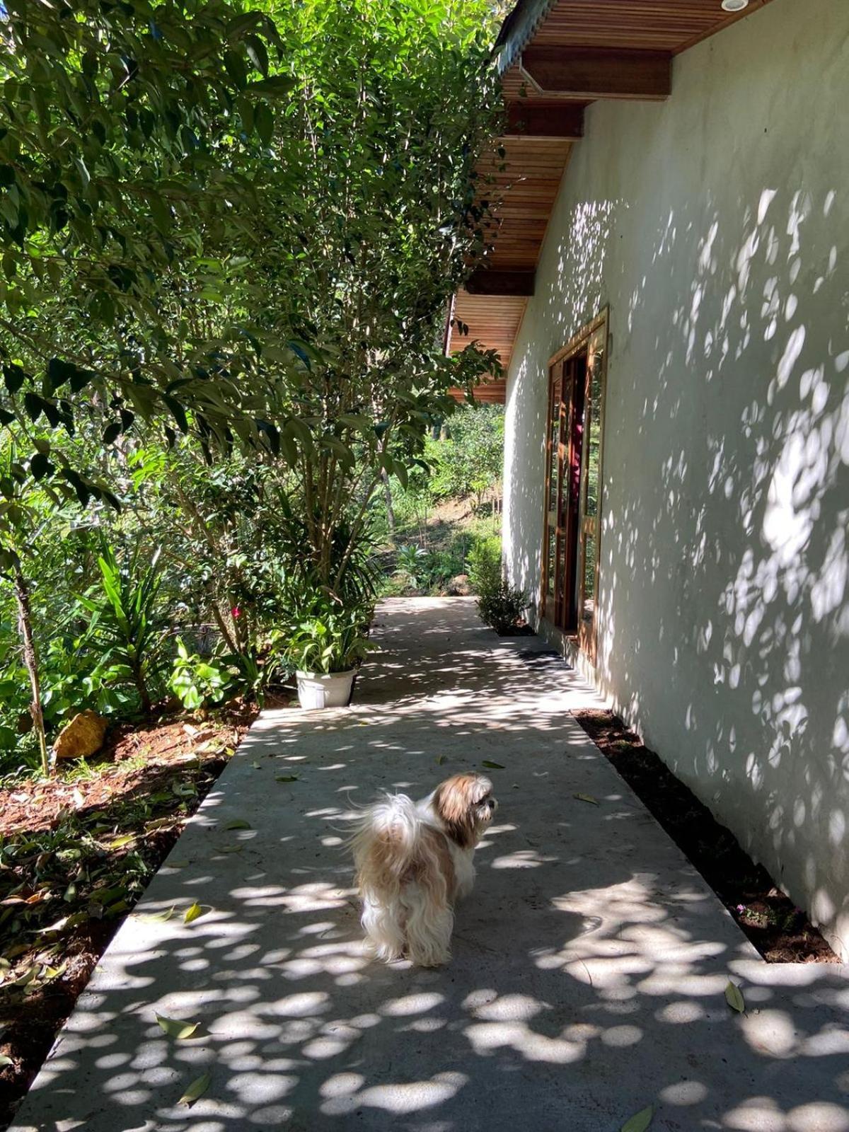 Quarto/suite Com Lareira Sao Miguel da Serra